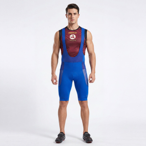 Men's Mesh Panel Bib Short