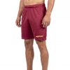 Mens Active Athletic Workout Shorts
